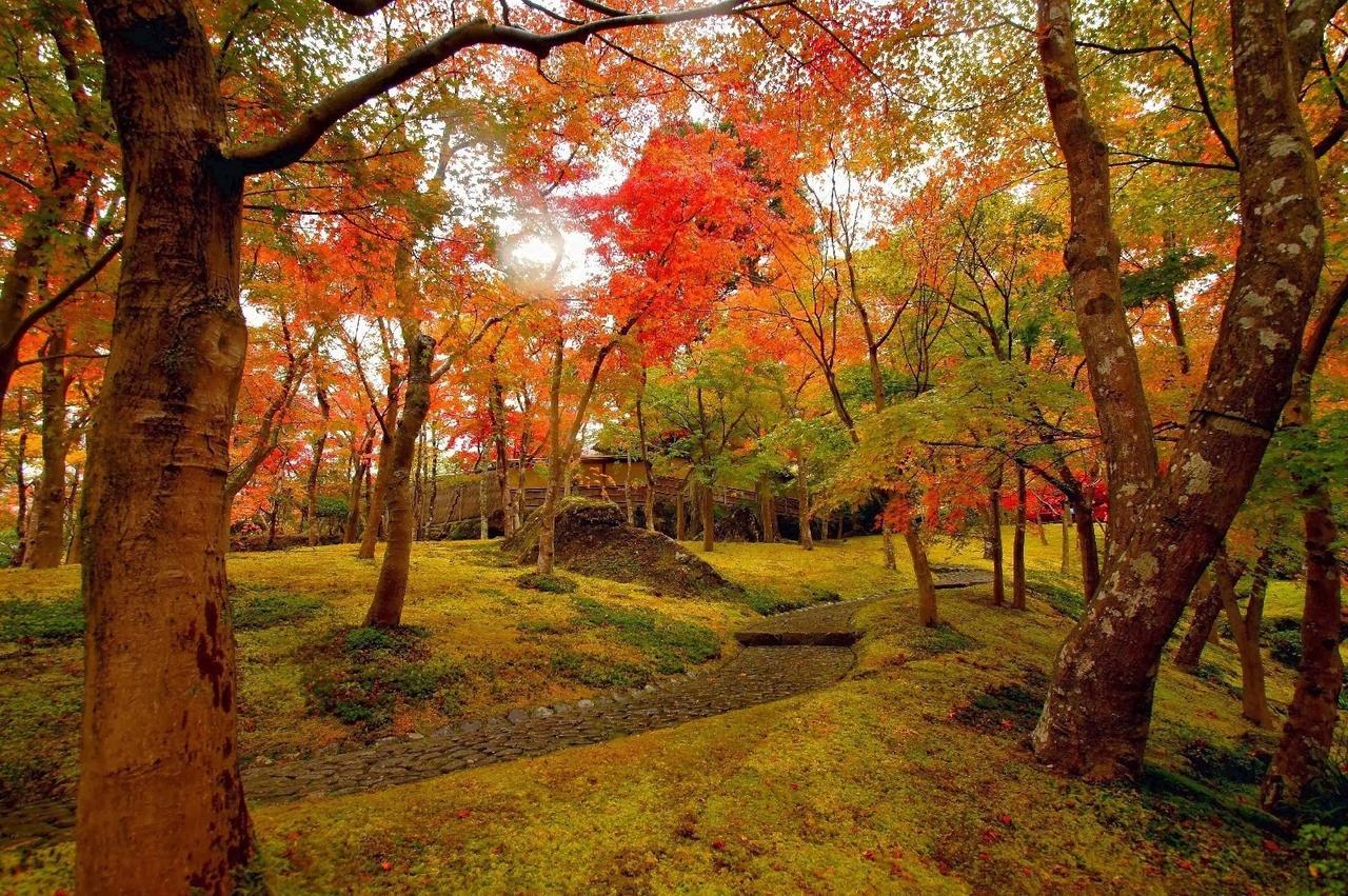 젬스티 인 하코네 아시노코 외부 사진